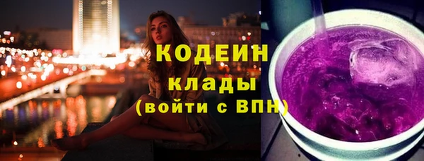 молекула духа Няндома