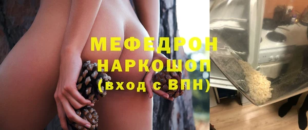 молекула духа Няндома