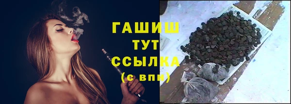 молекула духа Няндома