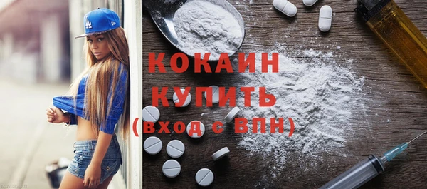 молекула духа Няндома