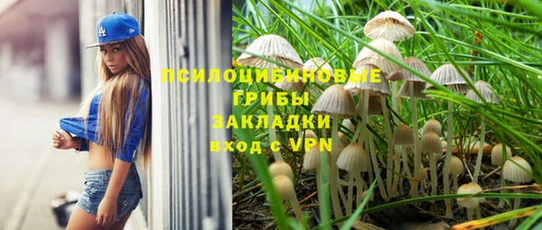 spice Нязепетровск