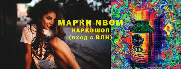 молекула духа Няндома