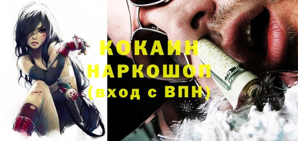 молекула духа Няндома