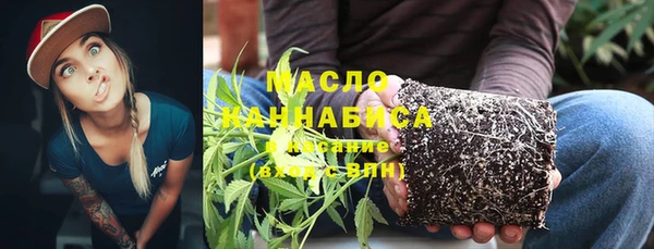молекула духа Няндома