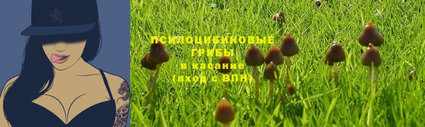 spice Нязепетровск