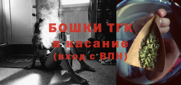 молекула духа Няндома