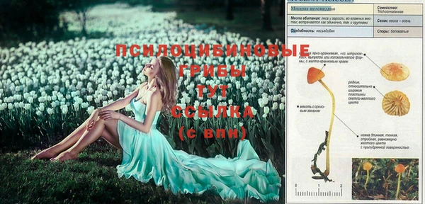 а пвп мука Нягань