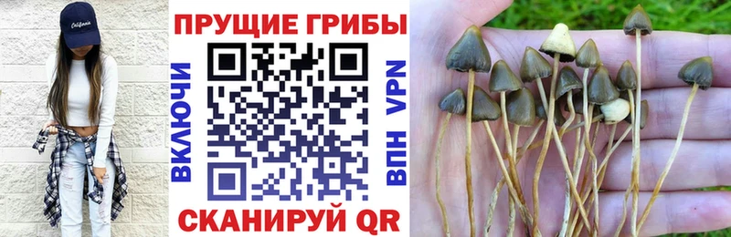 MEGA сайт  Котельники  Галлюциногенные грибы ЛСД 