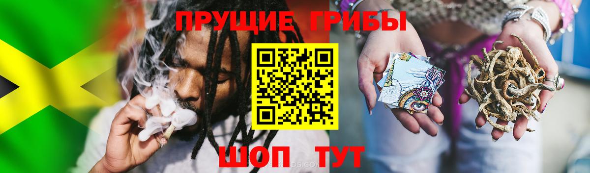 хочу   Вход с VPN  Котельники  Галлюциногенные грибы Psilocybe 