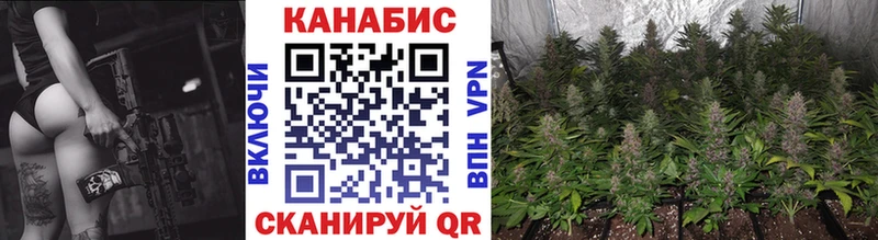 Шишки марихуана семена  Котельники 